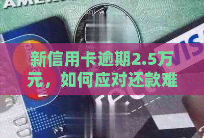 新信用卡逾期2.5万元，如何应对还款难题？