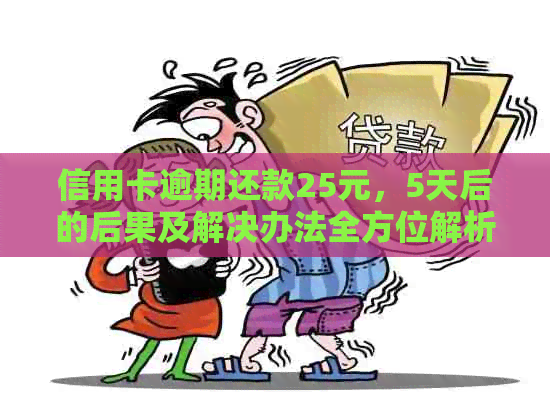 信用卡逾期还款25元，5天后的后果及解决办法全方位解析
