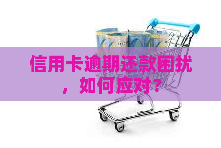 信用卡逾期还款困扰，如何应对？