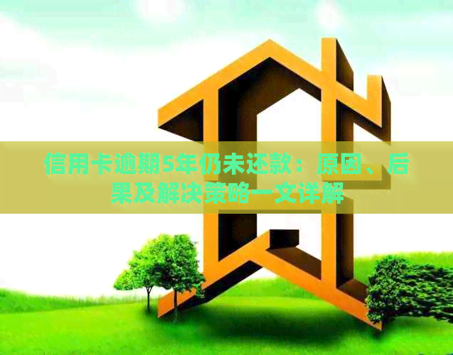 信用卡逾期5年仍未还款：原因、后果及解决策略一文详解