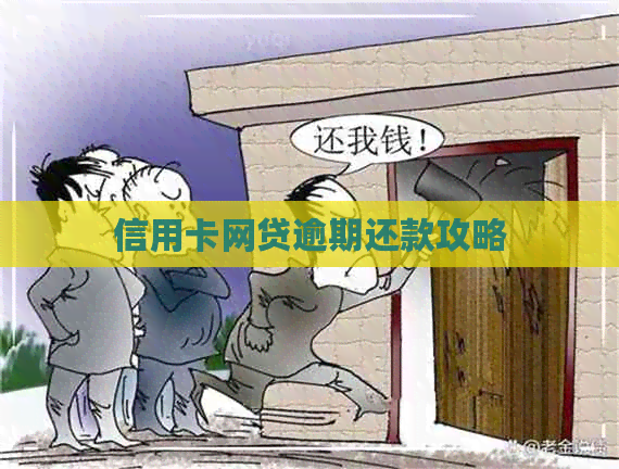 信用卡网贷逾期还款攻略