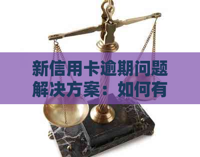 新信用卡逾期问题解决方案：如何有效管理并避免过度逾期现象
