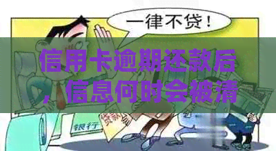 信用卡逾期还款后，信息何时会被清除？了解详细处理时间及影响因素