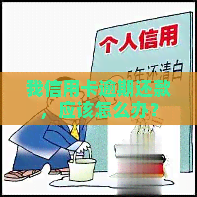 我信用卡逾期还款，应该怎么办？