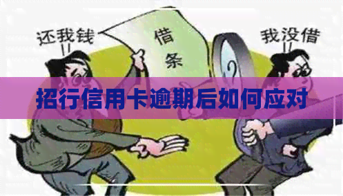 招行信用卡逾期后如何应对