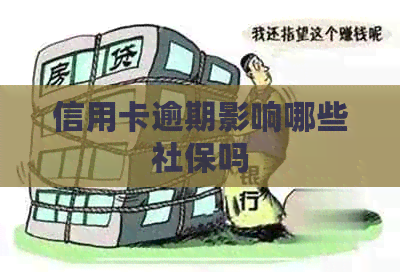 信用卡逾期影响哪些社保吗