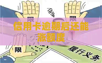 信用卡逾期后还能涨额度