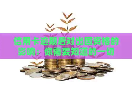 信用卡逾期后对出国资格的影响：你需要知道的一切