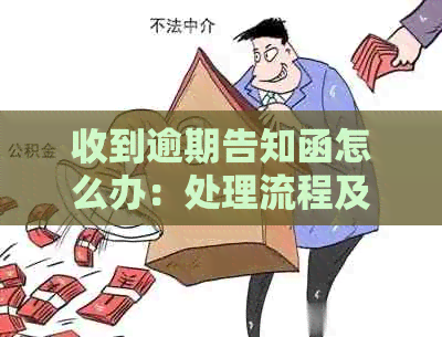 收到逾期告知函怎么办：处理流程及后果分析