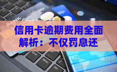 信用卡逾期费用全面解析：不仅罚息还有这些额外成本！