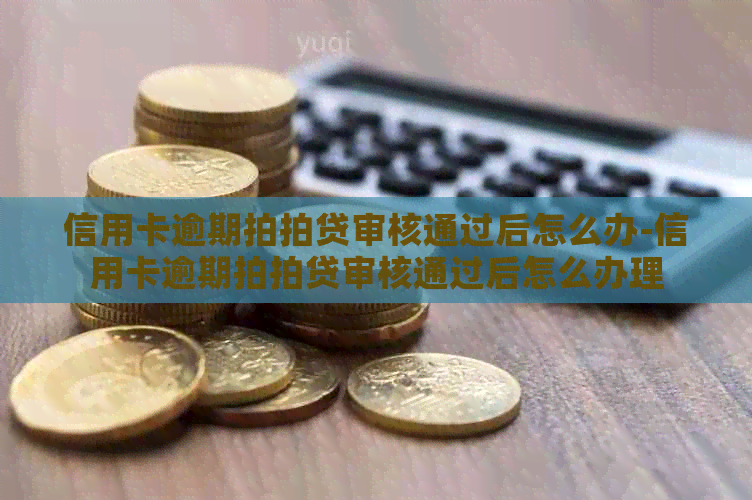 信用卡逾期审核通过后怎么办-信用卡逾期审核通过后怎么办理