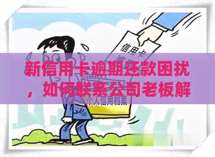 新信用卡逾期还款困扰，如何联系公司老板解决？