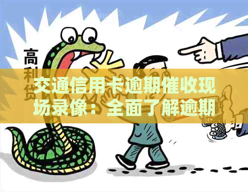 交通信用卡逾期现场录像：全面了解逾期处理流程与应对措