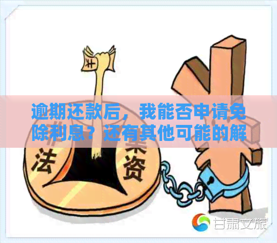 逾期还款后，我能否申请免除利息？还有其他可能的解决方案吗？