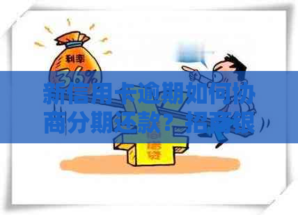新信用卡逾期如何协商分期还款？招商银行分期攻略助您解决逾期问题