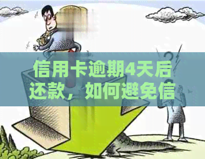 信用卡逾期4天后还款，如何避免信用损失和进一步后果？