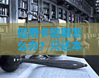 信用卡逾期怎么办？只还本金流程、无力偿还处理、咨询及停息挂账办理。
