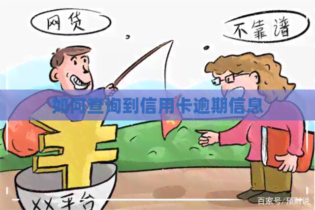 如何查询到信用卡逾期信息