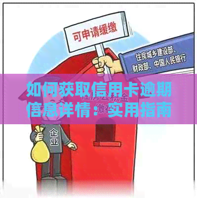 如何获取信用卡逾期信息详情：实用指南和步骤解析