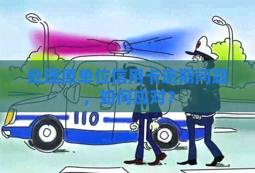 处理原单位信用卡逾期问题，如何应对？