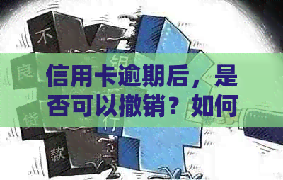 信用卡逾期后，是否可以撤销？如何处理现在的情况？还款后是否能继续使用？
