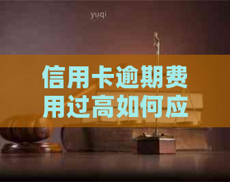 信用卡逾期费用过高如何应诉：有效策略与实践