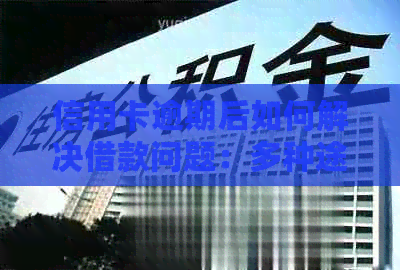 信用卡逾期后如何解决借款问题：多种途径供你选择
