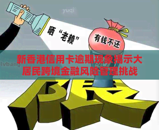 新信用卡逾期现象揭示大居民跨境金融风险管理挑战