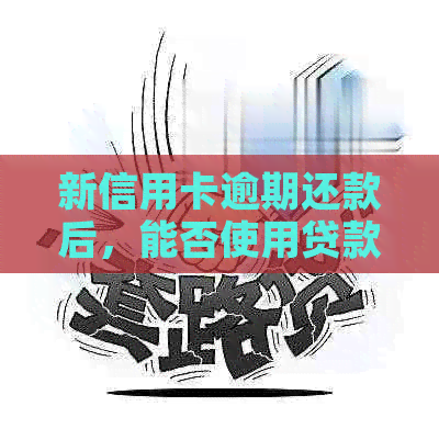 新信用卡逾期还款后，能否使用贷款购车？
