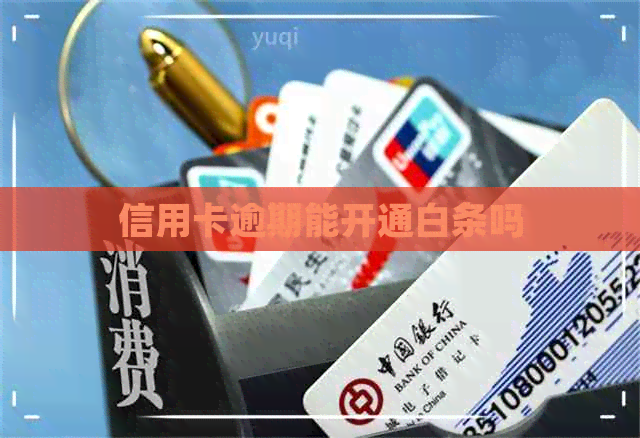 信用卡逾期能开通白条吗