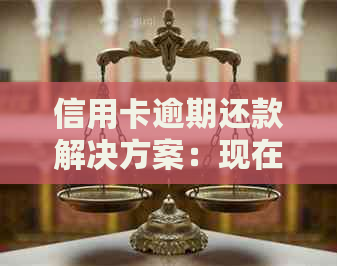 信用卡逾期还款解决方案：现在代刷是否可行？