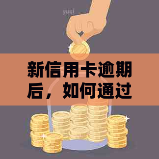 新信用卡逾期后，如何通过正规渠道借钱还款？
