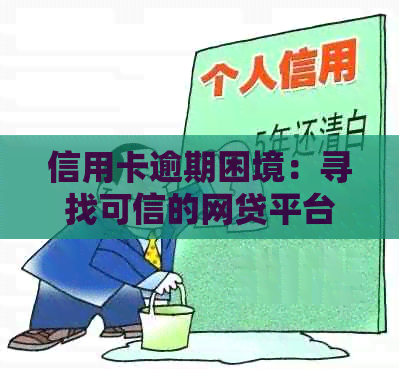 信用卡逾期困境：寻找可信的网贷平台解决贷款需求