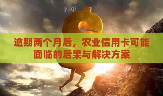 逾期两个月后，农业信用卡可能面临的后果与解决方案