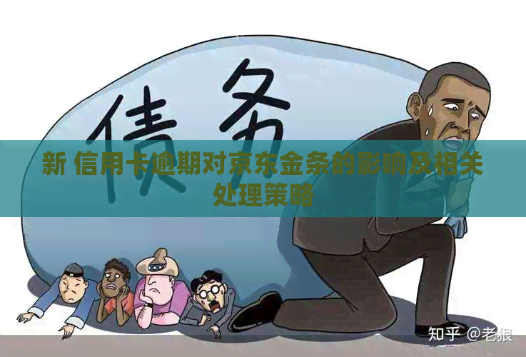 新 信用卡逾期对京东金条的影响及相关处理策略