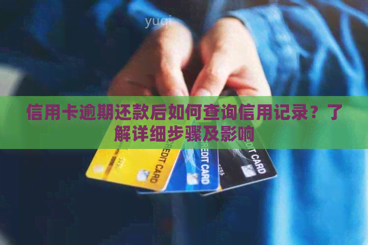 信用卡逾期还款后如何查询信用记录？了解详细步骤及影响