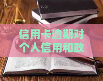 信用卡逾期对个人信用和政审的影响：详细解答与对策