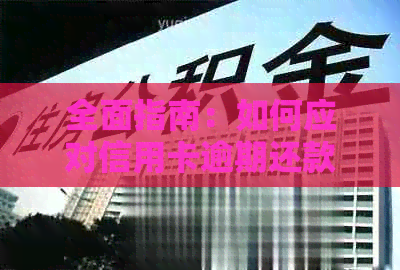 全面指南：如何应对信用卡逾期还款问题，从预防到追讨策略一应俱全
