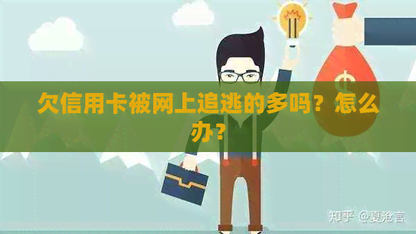 欠信用卡被网上追逃的多吗？怎么办？
