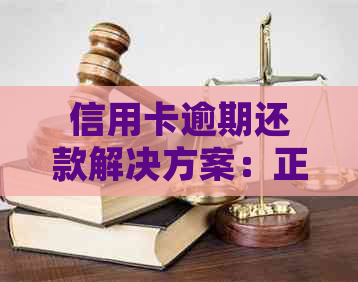 信用卡逾期还款解决方案：正规咨询网贷指导