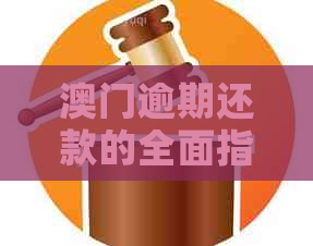 逾期还款的全面指南：应对措、法律后果及相关资源