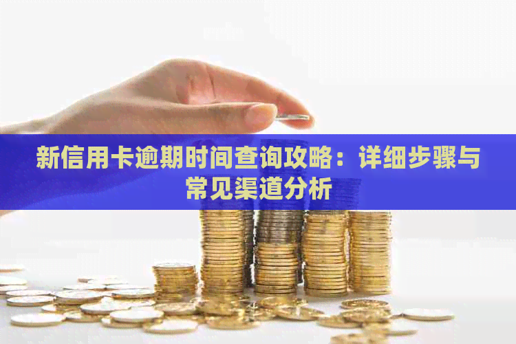 新信用卡逾期时间查询攻略：详细步骤与常见渠道分析