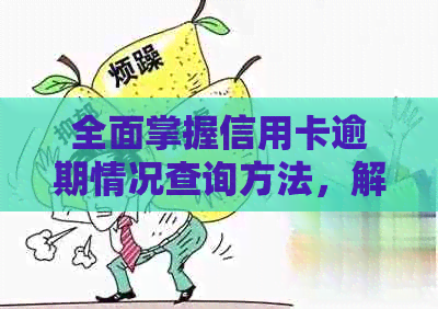 全面掌握信用卡逾期情况查询方法，解决用户可能搜索的各类问题