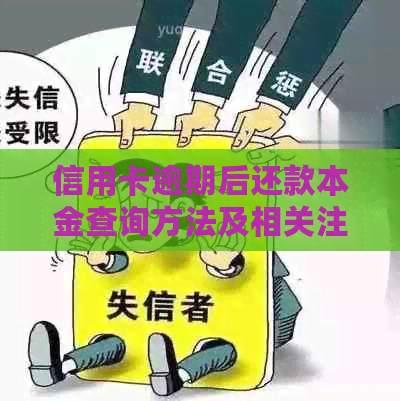 信用卡逾期后还款本金查询方法及相关注意事项