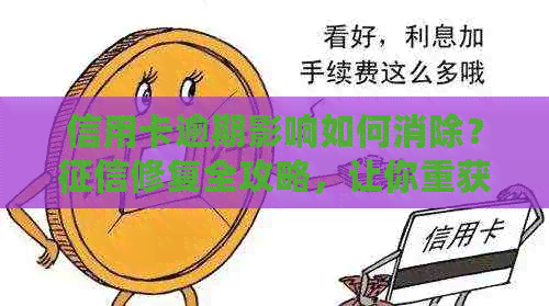 信用卡逾期影响如何消除？修复全攻略，让你重获信用新生活！