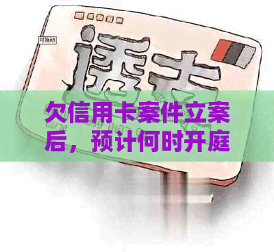 欠信用卡案件立案后，预计何时开庭审理？