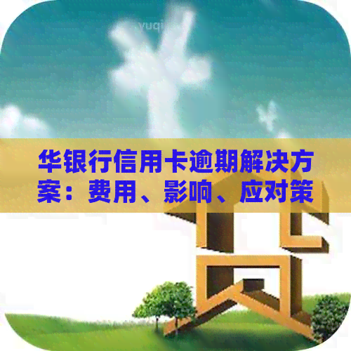 华银行信用卡逾期解决方案：费用、影响、应对策略全面解析