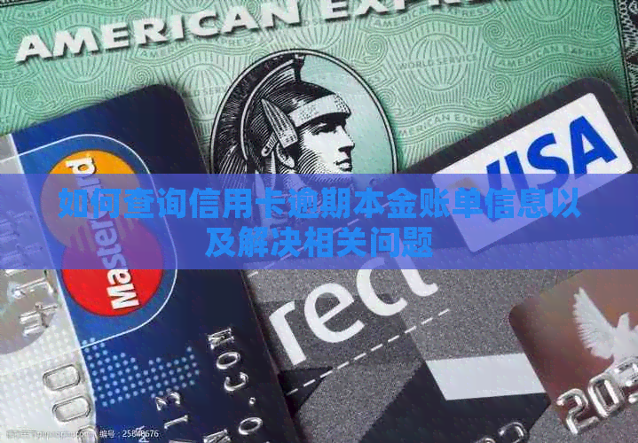 如何查询信用卡逾期本金账单信息以及解决相关问题