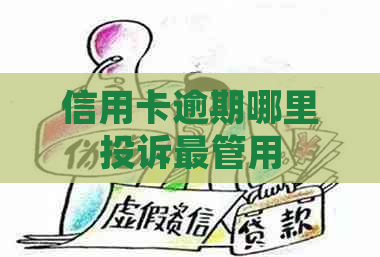 信用卡逾期哪里投诉最管用