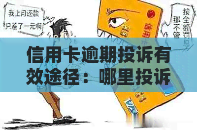 信用卡逾期投诉有效途径：哪里投诉最管用呢？